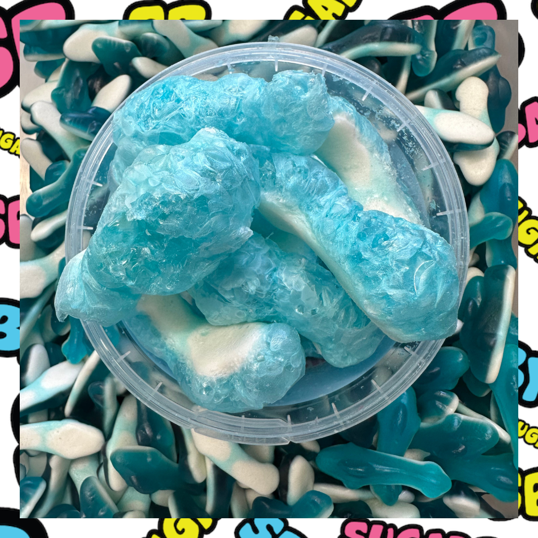 Freeze Dried Blue Gummy Sharks – SUGAR BABY LOLLY JARS